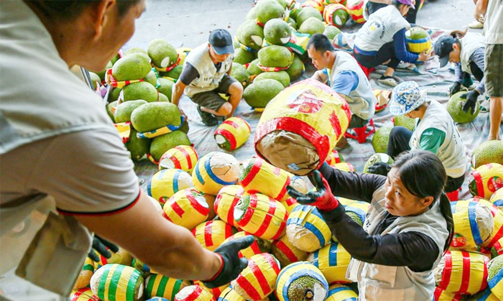 China to allow import of Vietnamese fresh jackfruits from June 1, 2026